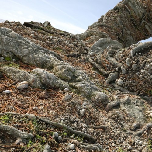 Rock_Pack